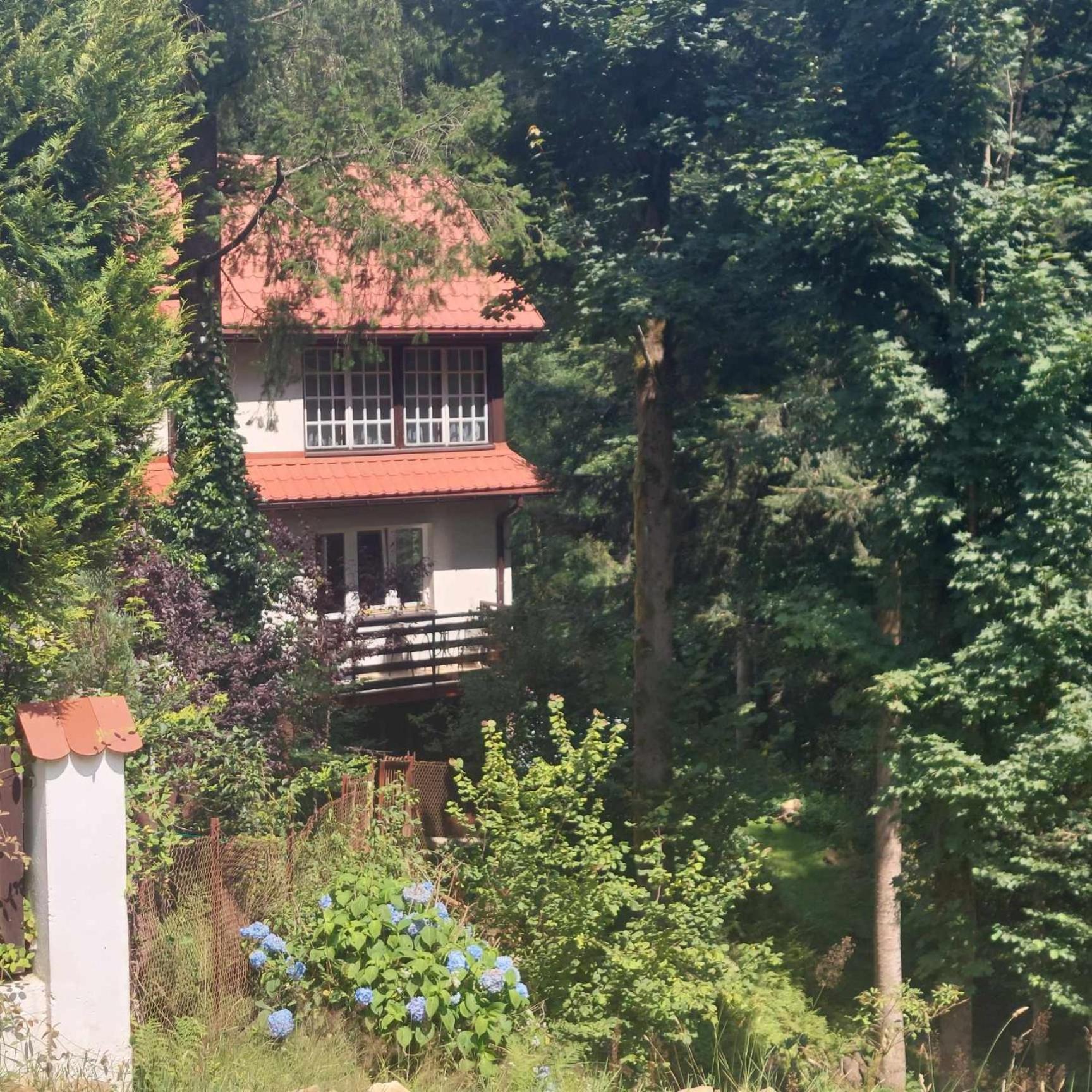 סוצ'ה בסקידזקה Beskidzka Apartments מראה חיצוני תמונה